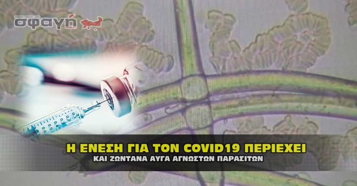 Οι ενέσεις για τον COVID19 περιέχουν ακόμα ζωντανά αυγά παρασίτων